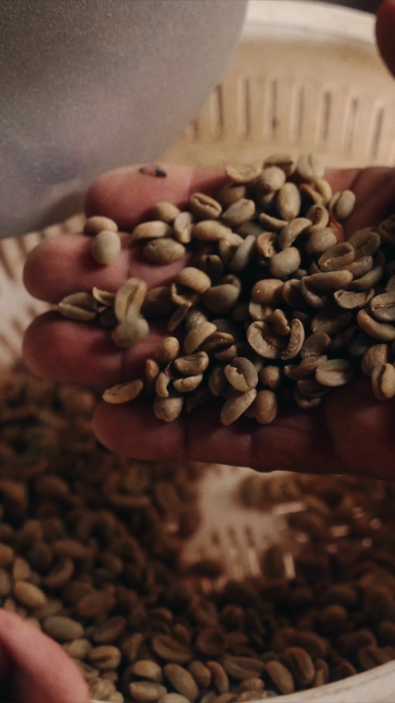 Video 013 — Vertical Video — Reel